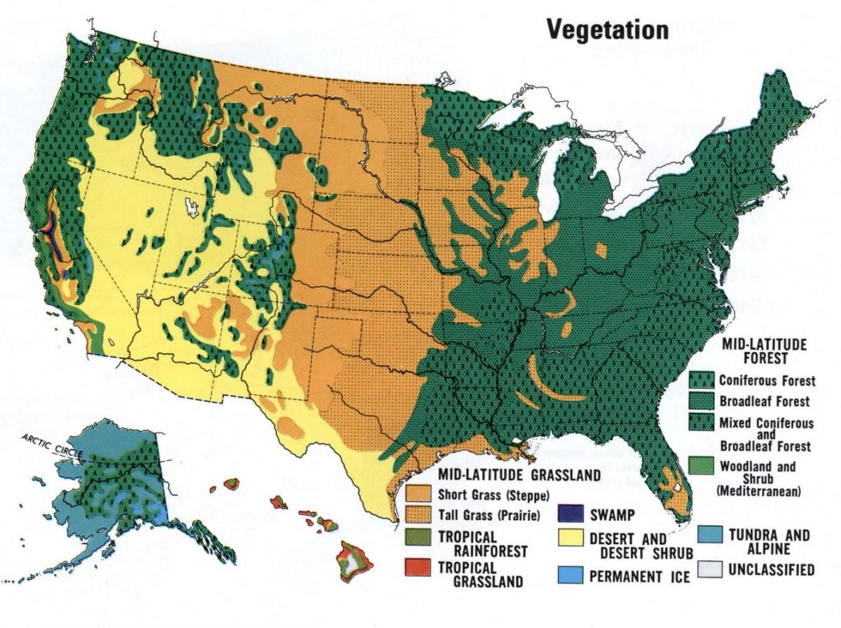 noi-foresta-mappa-cartina-di-noi-foreste-america-del-nord-america