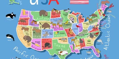Mappa di Stati Uniti per i bambini