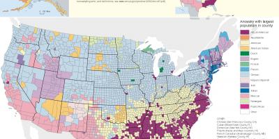 USA etnia mappa