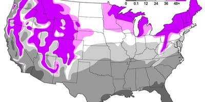 Mappa della neve USA